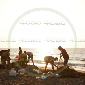 4cP003232AI生成素材