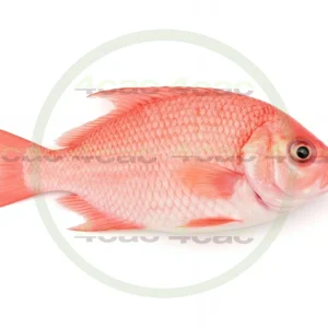 4cP003277AI生成素材