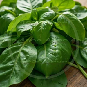 4cP003288AI生成素材