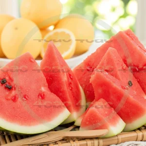 4cP003302AI生成素材