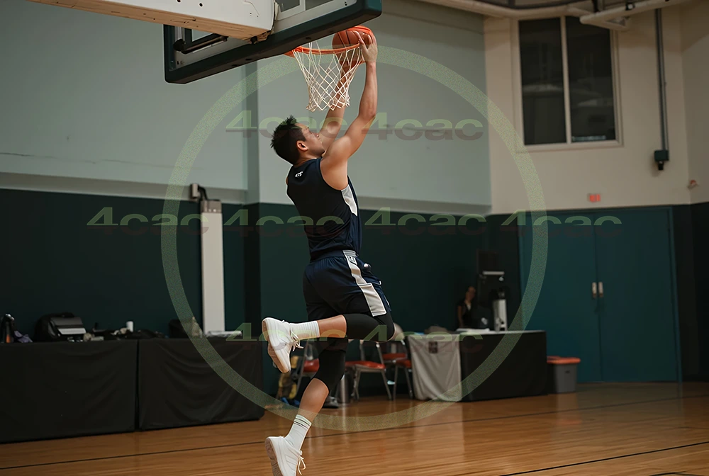 4cP003332AI生成素材