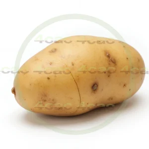 4cP003443AI生成素材