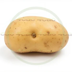 4cP003444AI生成素材