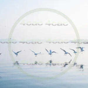 4cP004197AI生成素材