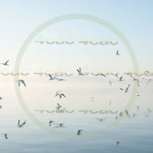 4cP004199AI生成素材