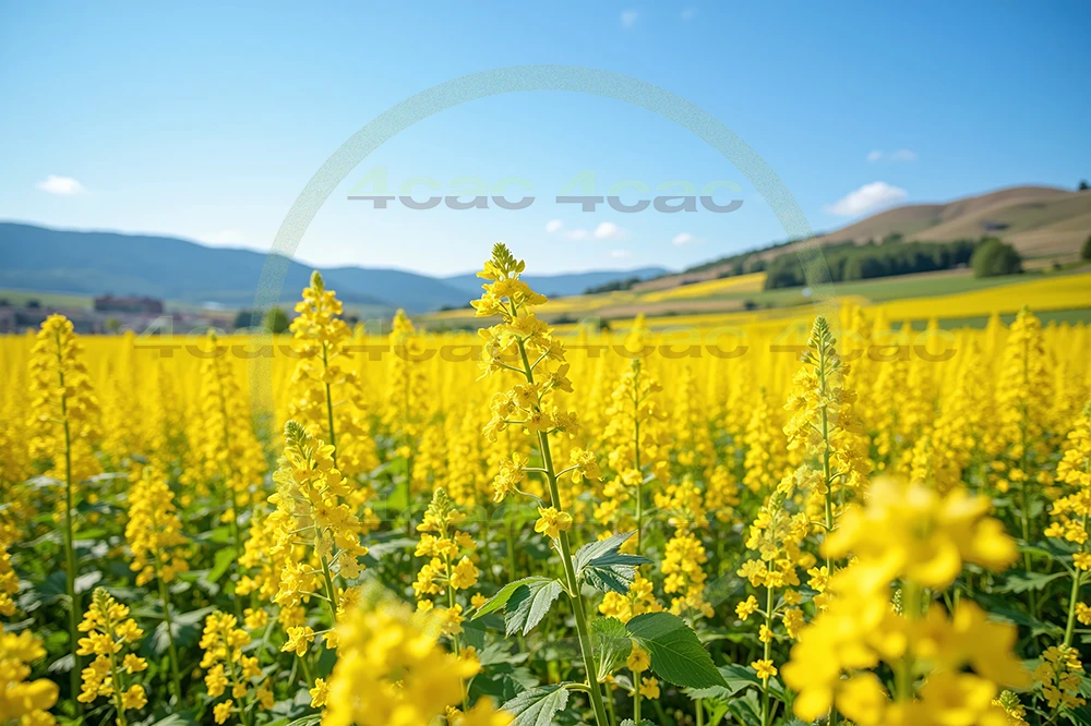 4cP004203AI生成素材