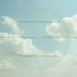 4cP004353AI生成素材