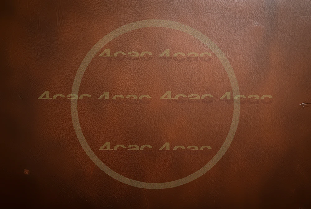 4cP004553AI生成素材