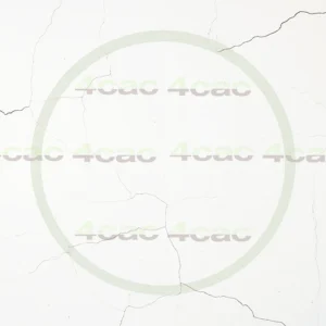 4cP004565AI生成素材