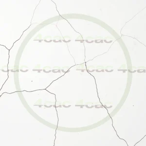 4cP004566AI生成素材