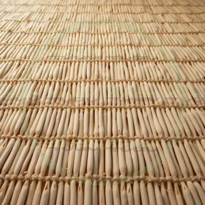 4cP004611AI生成素材