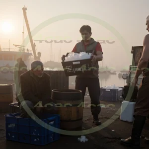 4cP004839AI生成素材