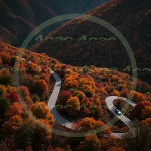 4cP004858AI生成素材