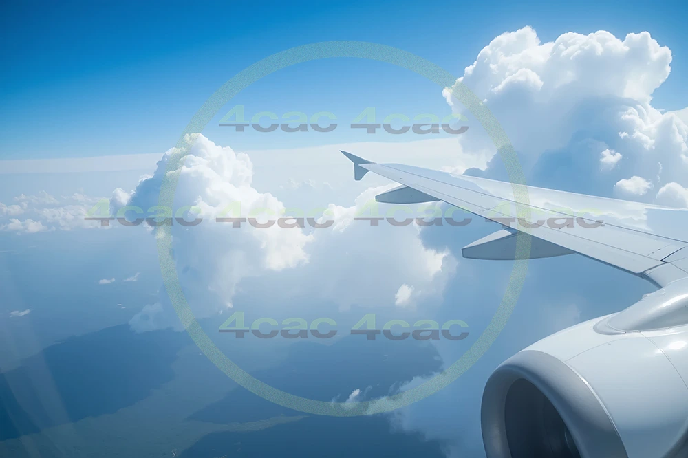 4cP004881AI生成素材