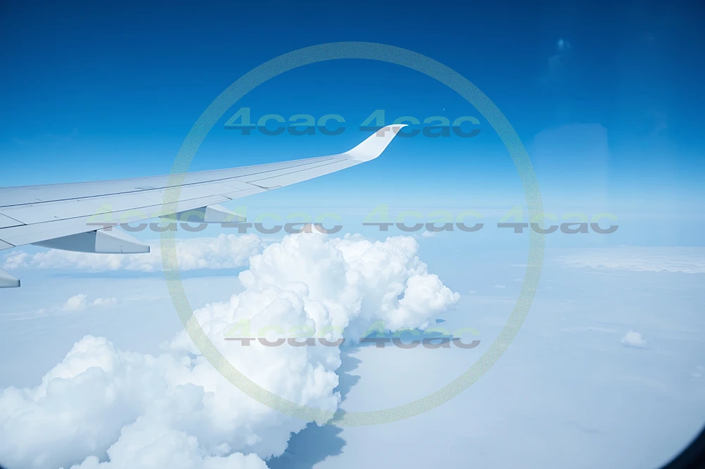 4cP004883AI生成素材