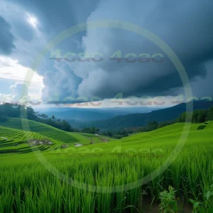 4cP005115AI生成素材