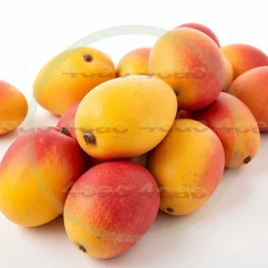 4cP005166AI生成素材