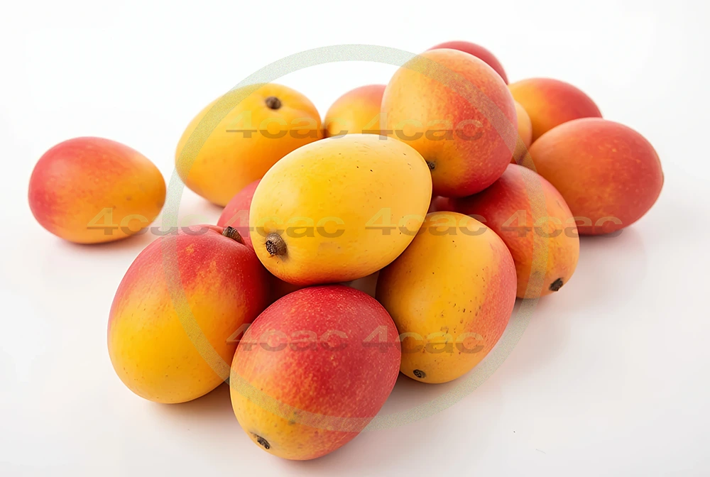 4cP005166AI生成素材