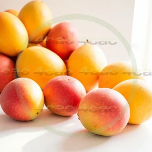 4cP005167AI生成素材