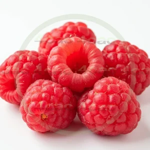 4cP005170AI生成素材