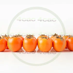 4cP005173AI生成素材