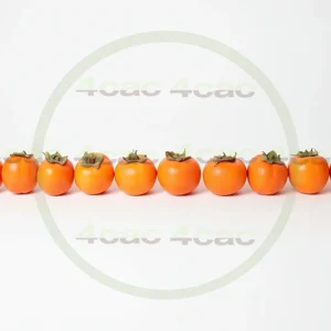 4cP005175AI生成素材