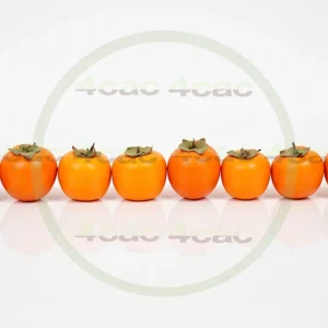 4cP005176AI生成素材