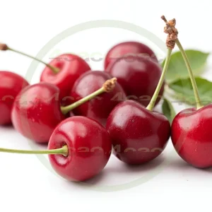 4cP005182AI生成素材