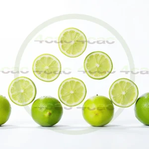 4cP005185AI生成素材