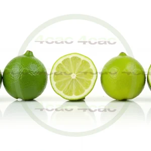 4cP005188AI生成素材