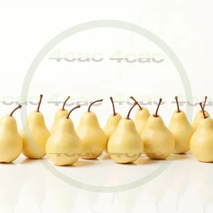 4cP005198AI生成素材