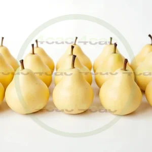 4cP005200AI生成素材