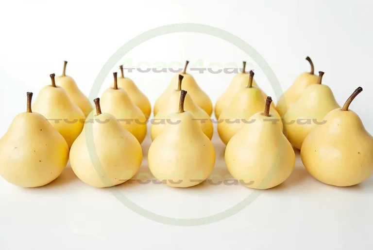 4cP005200AI生成素材