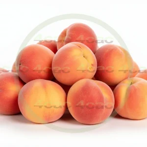 4cP005201AI生成素材