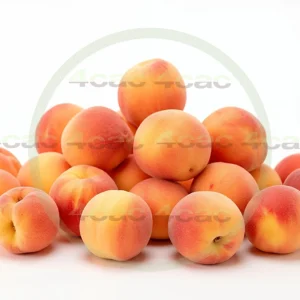 4cP005202AI生成素材