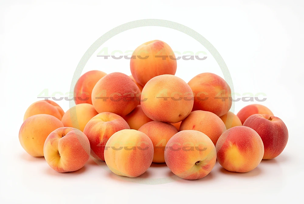 4cP005202AI生成素材