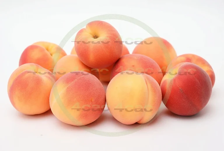 4cP005203AI生成素材