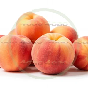 4cP005204AI生成素材