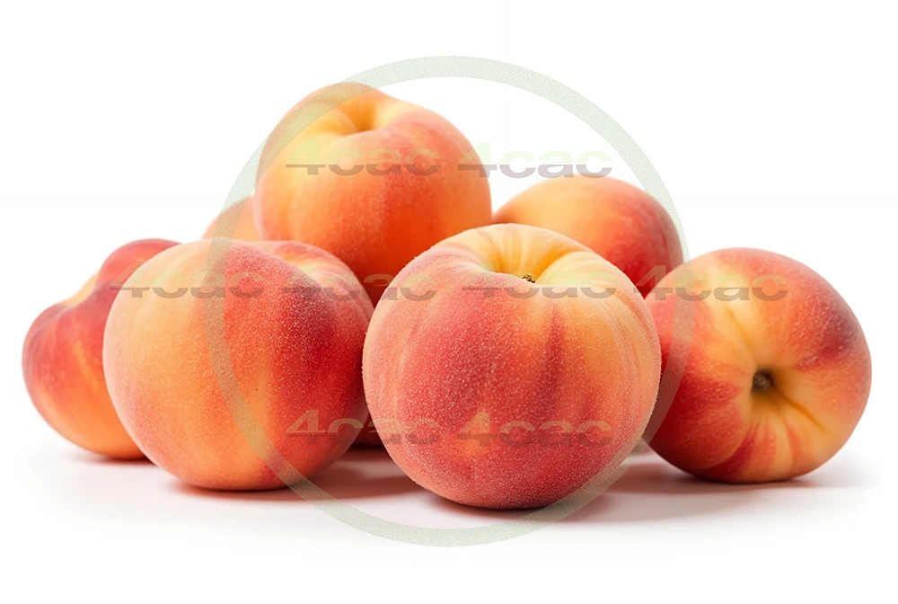 4cP005204AI生成素材