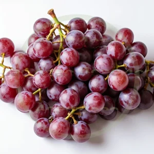 4cP005213AI生成素材