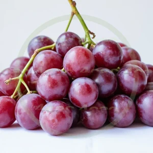 4cP005214AI生成素材