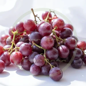 4cP005215AI生成素材