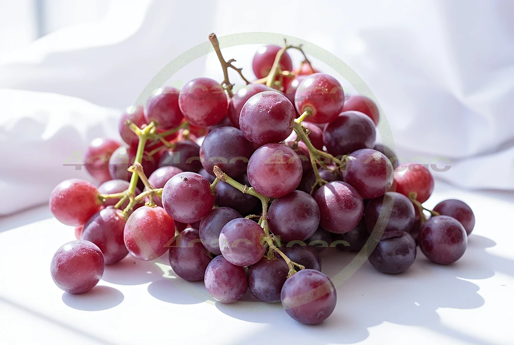 4cP005215AI生成素材