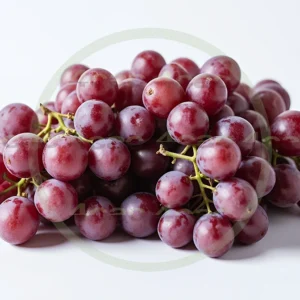 4cP005216AI生成素材