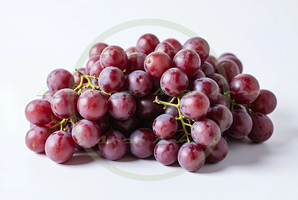 4cP005216AI生成素材