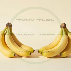 4cP005217AI生成素材