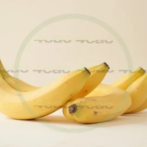 4cP005218AI生成素材