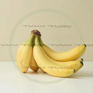 4cP005219AI生成素材