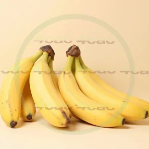 4cP005220AI生成素材