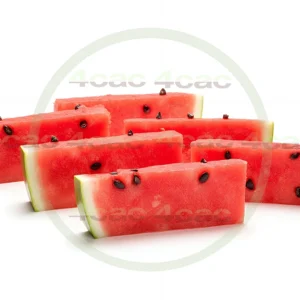 4cP005223AI生成素材